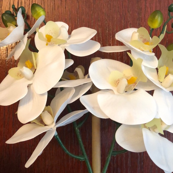 Meet your Posher, Chantal - Picture 1 of 1